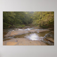 morning on the creek print