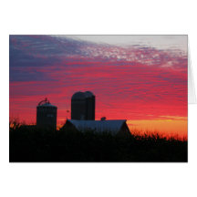 Morning On The Farm Greeting Card