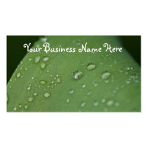 Morning Rain; Promotional Business Card Template