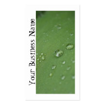 Morning Rain; Promotional Business Card Templates