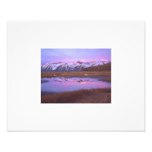 Morning Reflections Photographic Print