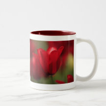 Morning Tulip Mug