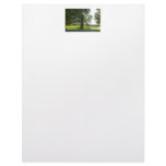 Morning Willow - Start the Day off Bright Custom Letterhead