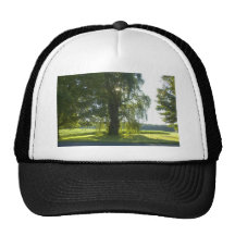 Morning Willow - Start the Day off Bright Mesh Hat