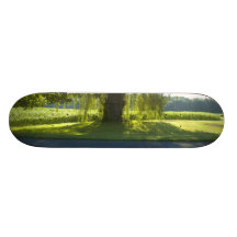 Morning Willow - Start the Day off Bright Custom Skate Board