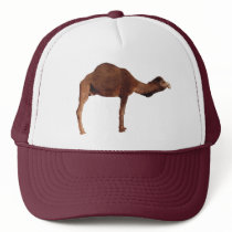 Moroccan Camel Hat