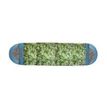 Morro Bay Ivy Skateboard