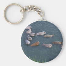 Morse sur la faune de ressortissant de Togiak Porte-clef