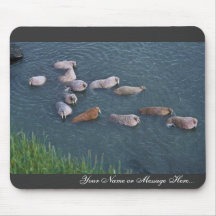 Morse sur la faune de ressortissant de Togiak Tapis De Souris