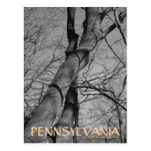 Morsure d'hivers sur la carte postale de la Pennsy