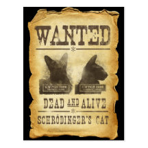 Morts et vivant voulus.  Le chat de Schroedinger Carte Postale