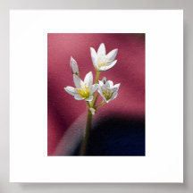mosaic flowers poster