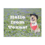 Moses in Bluebonnets Postcard