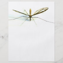 mosquito personalized flyer