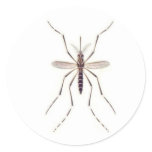 Mosquito  POWER stickers