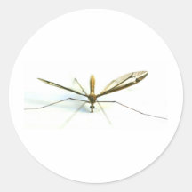 mosquito round sticker