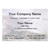 Mosquito Trail - 1874 business cards