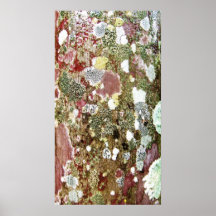 Moss Abstract Print
