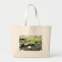 moss canvas bags
