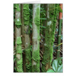 Moss Covered Bamboo Cards