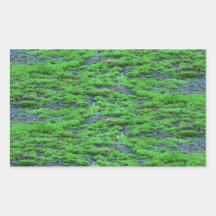 Moss-covered Concrete border Rectangle Sticker
