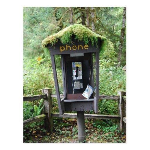 Moss covered phone booth post cards