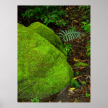 Moss-covered Stone Poster