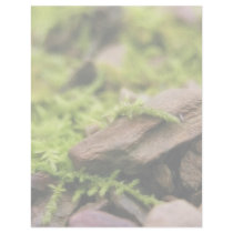 Moss Covered Stones Letterhead Template