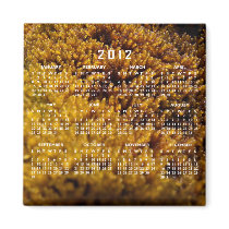 Moss Inspection; 2012 Calendar Fridge Magnet