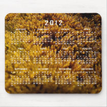 Moss Inspection; 2012 Calendar Mouse Pad