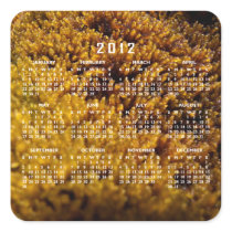 Moss Inspection; 2012 Calendar Square Stickers
