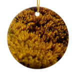 Moss Inspection Ornament