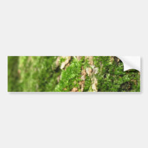 Moss On The Tree Bark Bumper Stickers