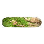 Moss On The Tree Bark Skate Decks