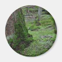 Mossy Trees Forests Woods Magnets