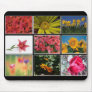 Most Beautiful Flowers Collage Mousepad