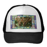 Moth Mesh Hats