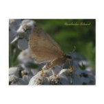 Moth on Yarrow Flowers, Unalaska Island postcards