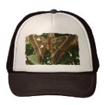 Moth Trucker Hats