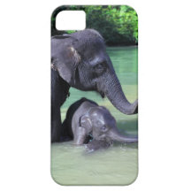 Mother and baby elephant in river iPhone 5 cover