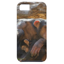 Mother and Baby iPhone 5 Cases