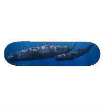 Mother and Baby Sperm Whale Physeter macrocephalus Custom Skateboard