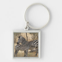 Mother and Baby Zebra  Keychain