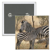 Mother and Baby Zebra  Pin