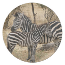 Mother and Baby Zebra  Plate