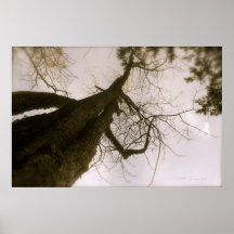 Mother and Child Print