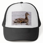 mother and duckling hat