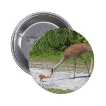 Mother Bird and Baby Bird Sandhill Cranes Pinback Buttons