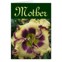 Mother Card