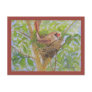 Mother Cardinal on Nest Post Cards